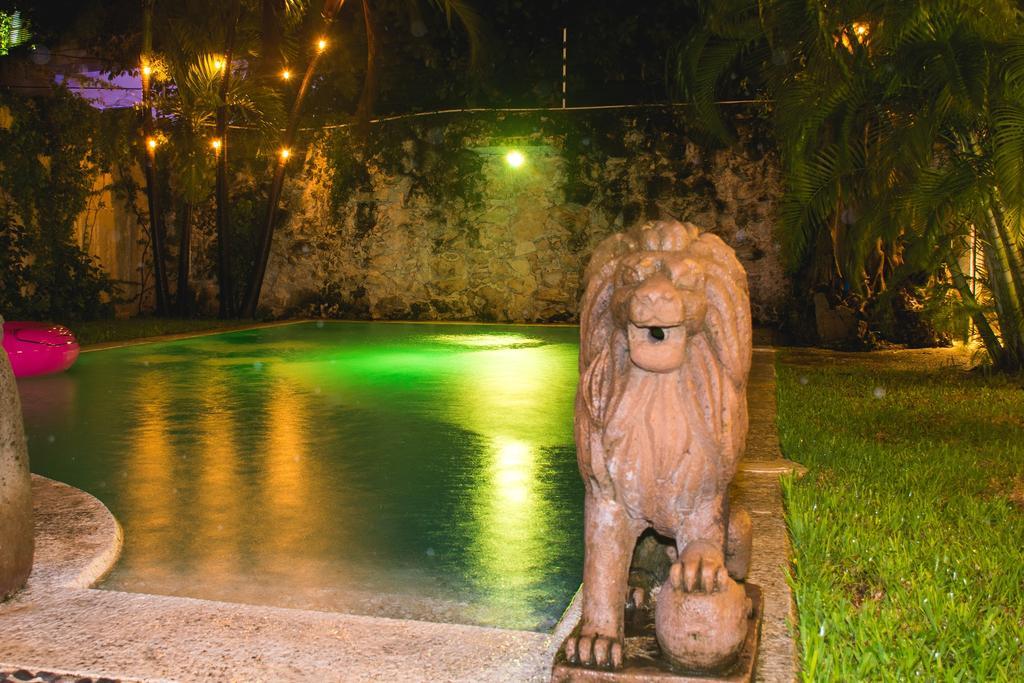 Casa de hóspedes Purple Lion