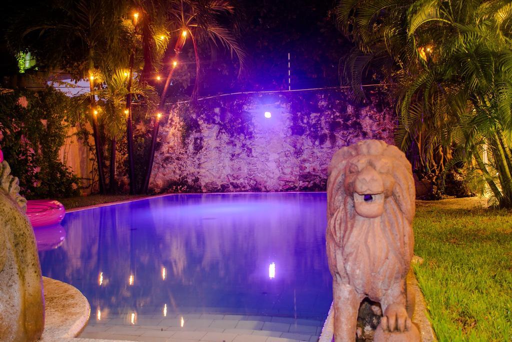 Purple Lion Casa de hóspedes